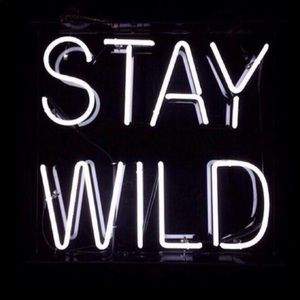 Meet your Posher, Dontavius